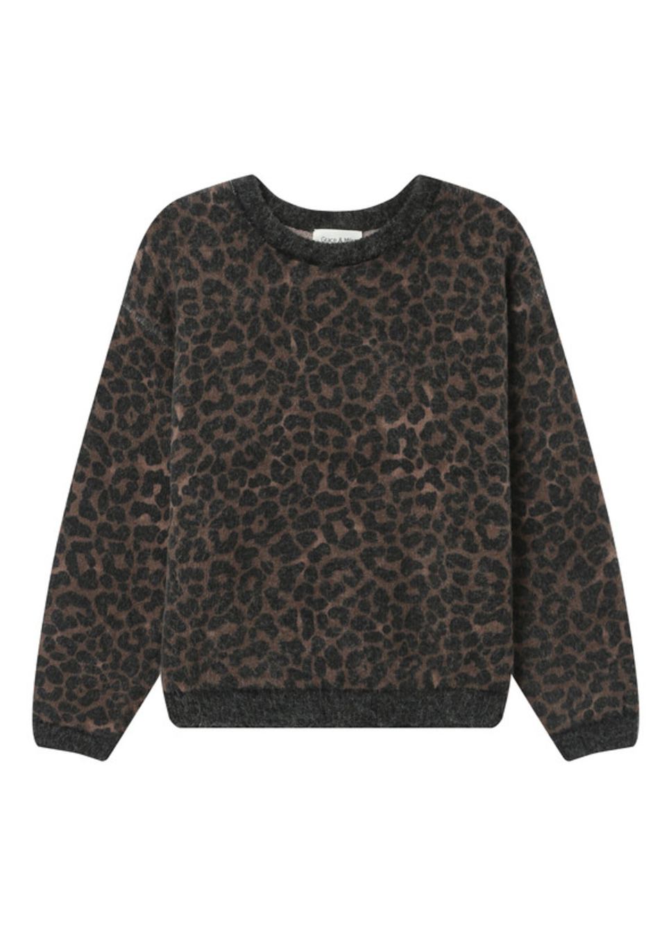 Product foto voorkant Grace & Mila Santigolg trui in leopard print